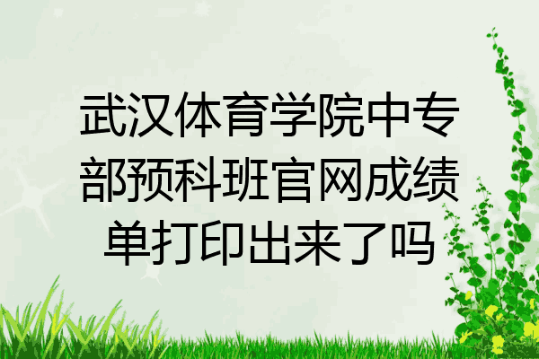 武汉体育学院中专部预科班官网成绩单打印出来了吗