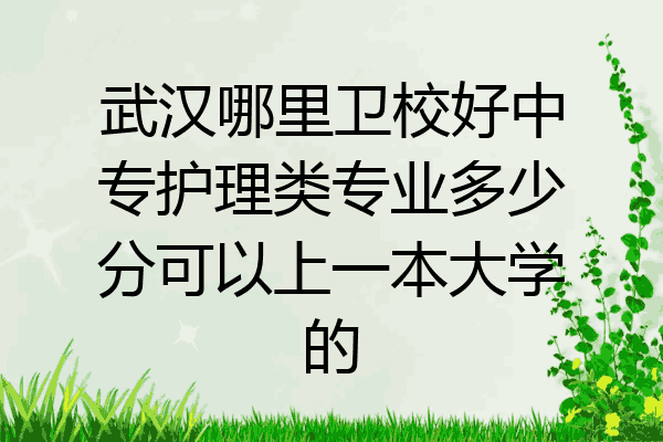 武汉哪里卫校好中专护理类专业多少分可以上一本大学的