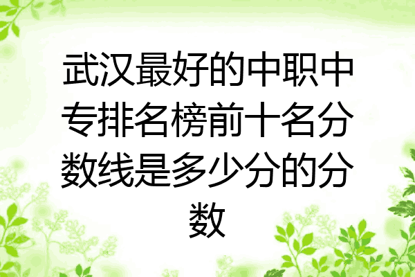 武汉最好的中职中专排名榜前十名分数线是多少分的分数
