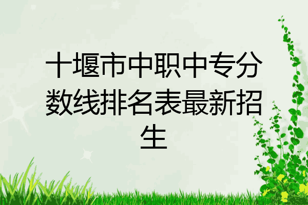 十堰市中职中专分数线排名表最新招生