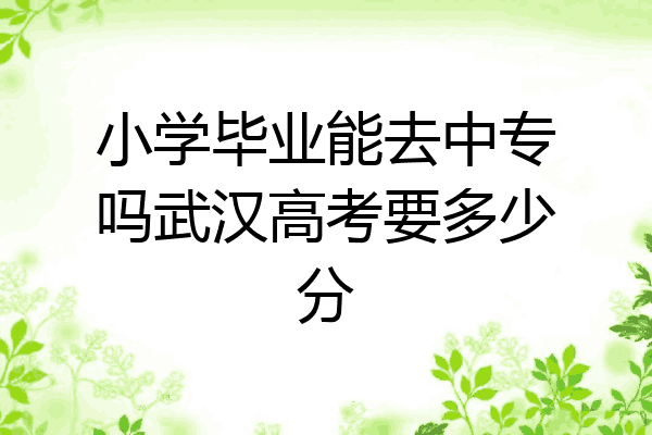小学毕业能去中专吗武汉高考要多少分