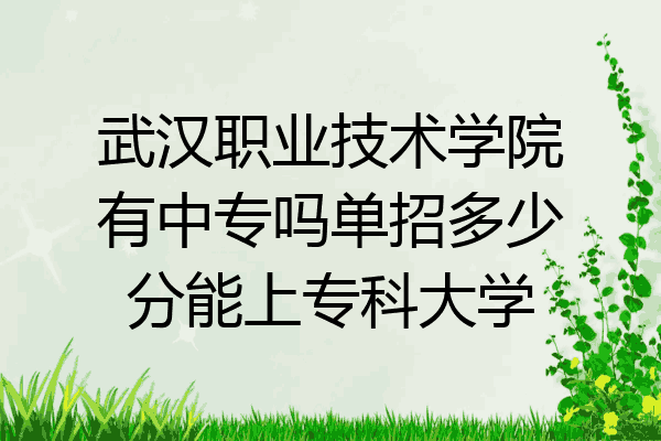 武汉职业技术学院有中专吗单招多少分能上专科大学