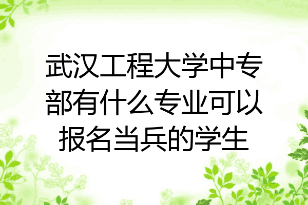 武汉工程大学中专部有什么专业可以报名当兵的学生