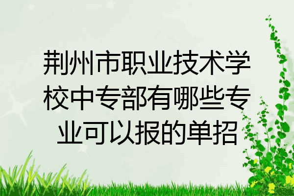 荆州市职业技术学校中专部有哪些专业可以报的单招