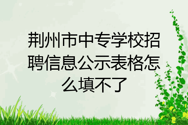 荆州市中专学校招聘信息公示表格怎么填不了