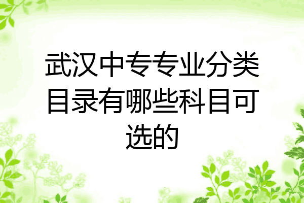 武汉中专专业分类目录有哪些科目可选的