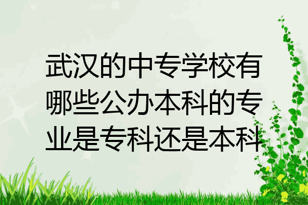 武汉的中专学校有哪些公办本科的专业是专科还是本科