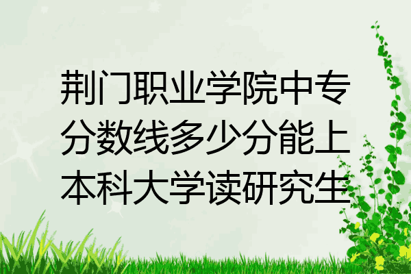 荆门职业学院中专分数线多少分能上本科大学读研究生
