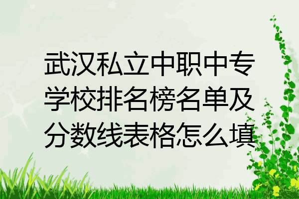 武汉私立中职中专学校排名榜名单及分数线表格怎么填