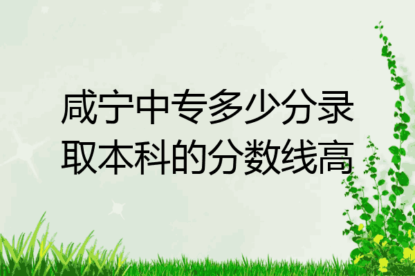 咸宁中专多少分录取本科的分数线高