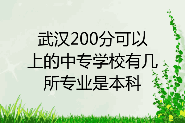 武汉200分可以上的中专学校有几所专业是本科