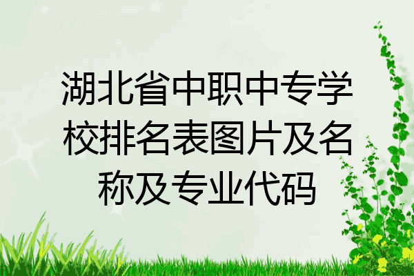 湖北省中职中专学校排名表图片及名称及专业代码