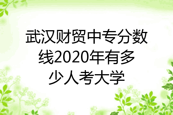武汉财贸中专分数线2020年有多少人考大学