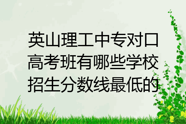 英山理工中专对口高考班有哪些学校招生分数线最低的