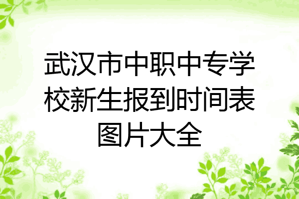 武汉市中职中专学校新生报到时间表图片大全