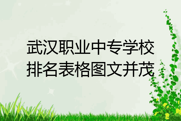 武汉职业中专学校排名表格图文并茂