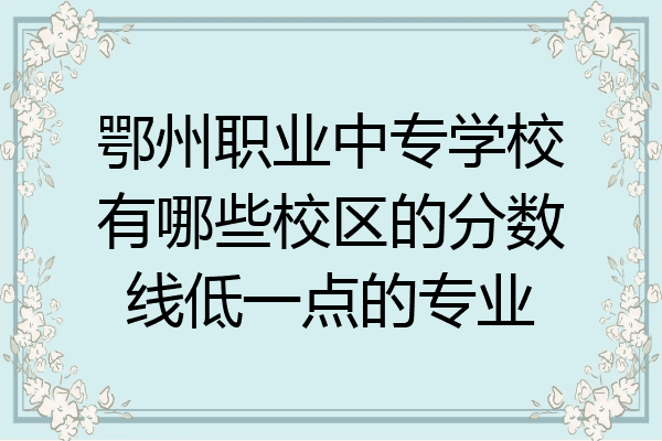 鄂州职业中专学校有哪些校区的分数线低一点的专业