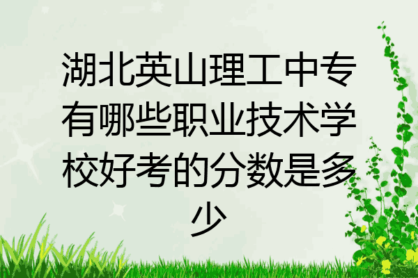 湖北英山理工中专有哪些职业技术学校好考的分数是多少