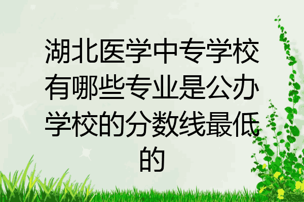 湖北医学中专学校有哪些专业是公办学校的分数线最低的