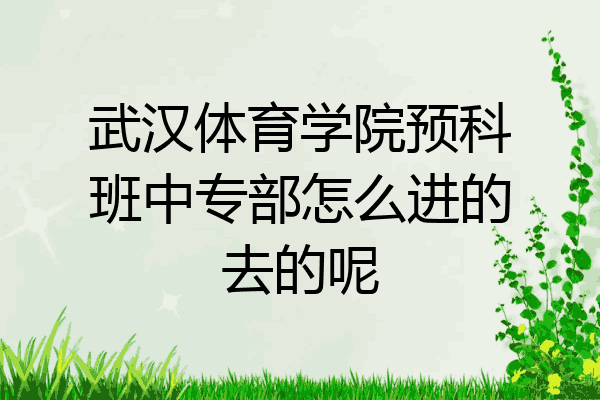 武汉体育学院预科班中专部怎么进的去的呢