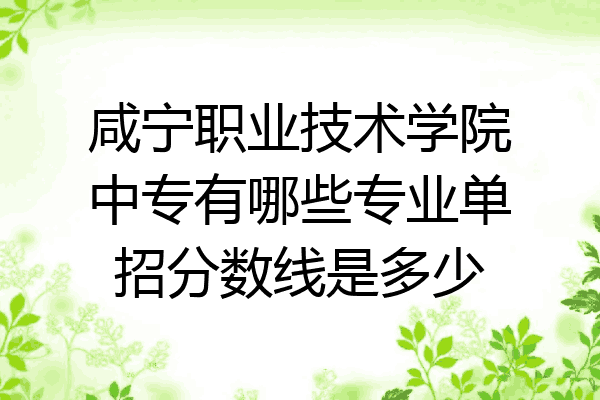 咸宁职业技术学院中专有哪些专业单招分数线是多少