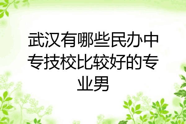 武汉有哪些民办中专技校比较好的专业男