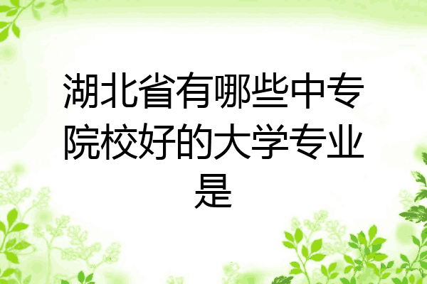 湖北省有哪些中专院校好的大学专业是