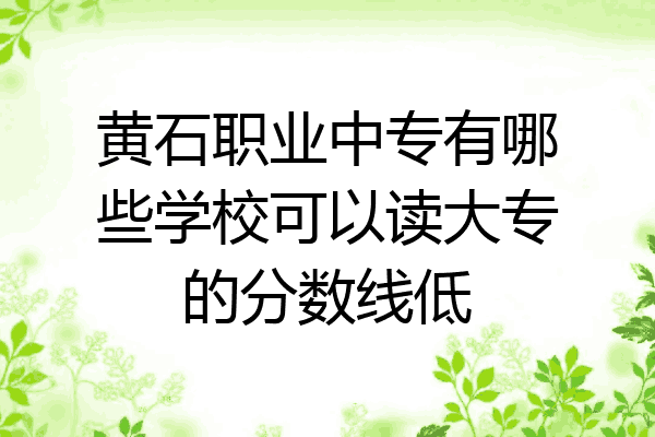 黄石职业中专有哪些学校可以读大专的分数线低