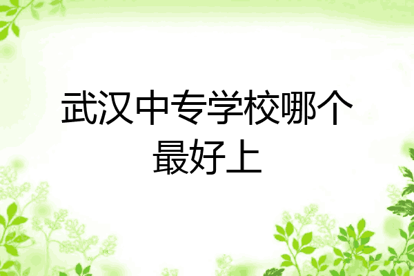 武汉中专学校哪个最好上