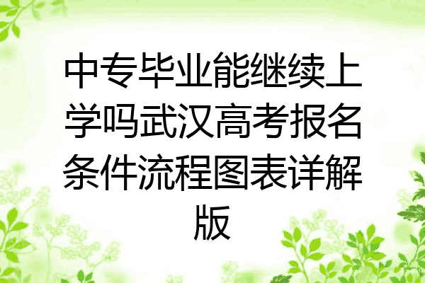 中专毕业能继续上学吗武汉高考报名条件流程图表详解版