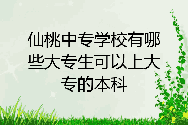 仙桃中专学校有哪些大专生可以上大专的本科