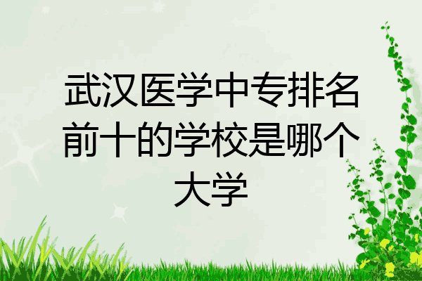 武汉医学中专排名前十的学校是哪个大学