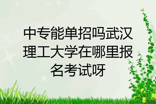 中专能单招吗武汉理工大学在哪里报名考试呀