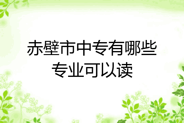 赤壁市中专有哪些专业可以读