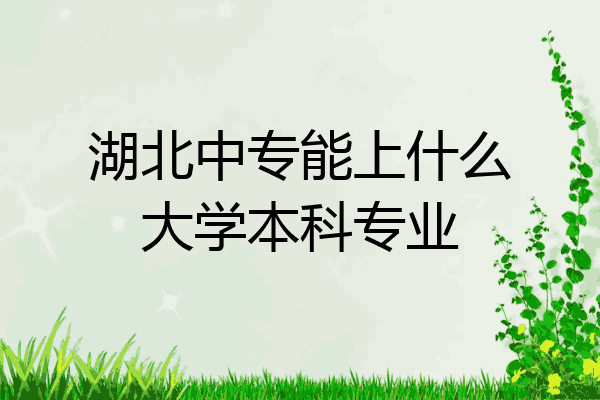 湖北中专能上什么大学本科专业