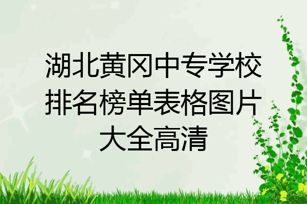 湖北黄冈中专学校排名榜单表格图片大全高清