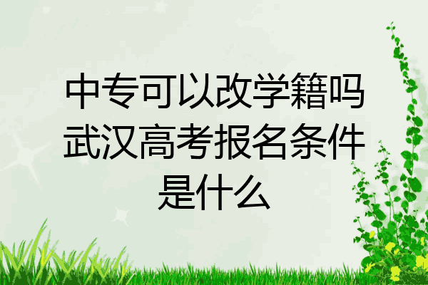 中专可以改学籍吗武汉高考报名条件是什么