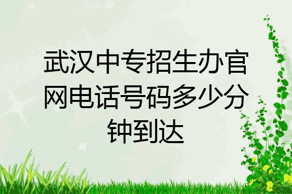 武汉中专招生办官网电话号码多少分钟到达