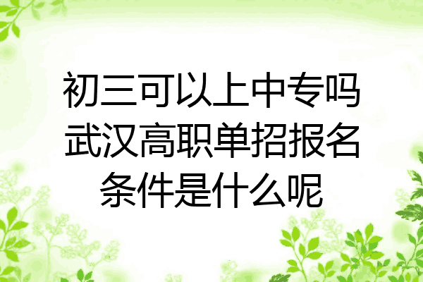 初三可以上中专吗武汉高职单招报名条件是什么呢