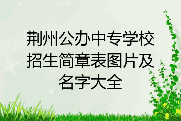 荆州公办中专学校招生简章表图片及名字大全