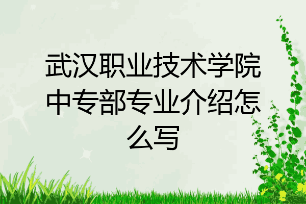 武汉职业技术学院中专部专业介绍怎么写