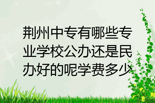 荆州中专有哪些专业学校公办还是民办好的呢学费多少