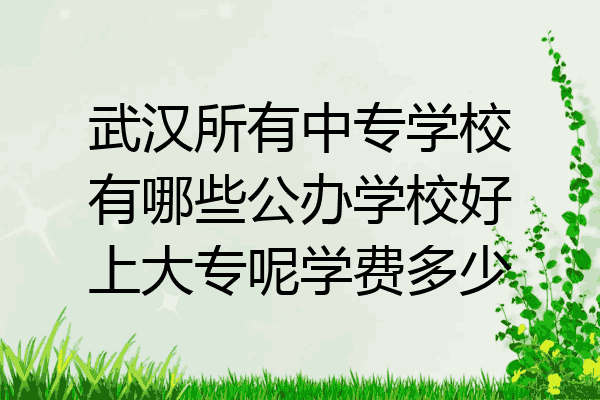 武汉所有中专学校有哪些公办学校好上大专呢学费多少