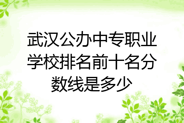 武汉公办中专职业学校排名前十名分数线是多少