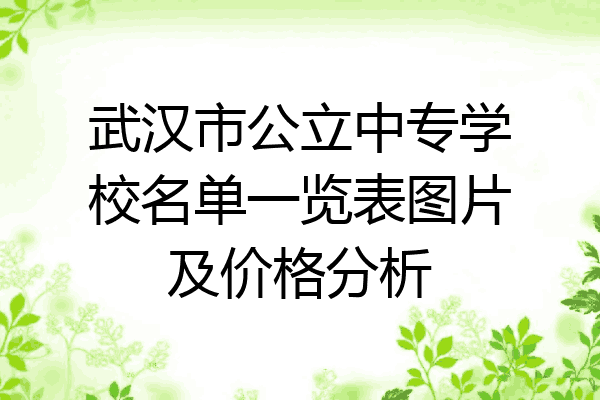 武汉市公立中专学校名单一览表图片及价格分析