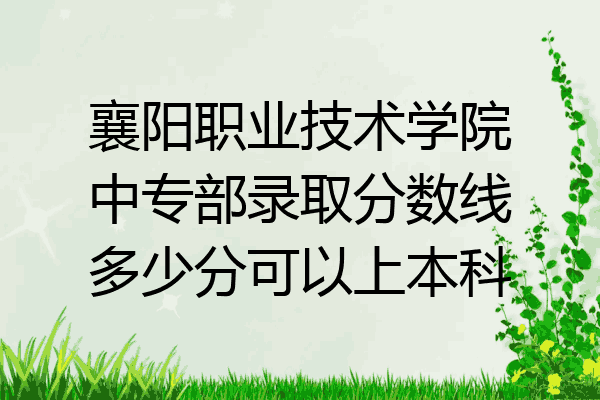 襄阳职业技术学院中专部录取分数线多少分可以上本科