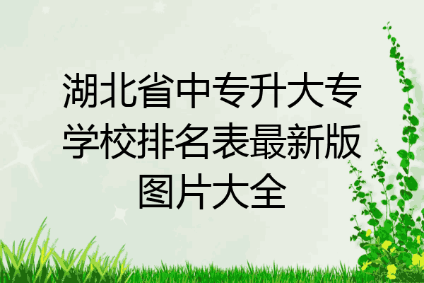 湖北省中专升大专学校排名表最新版图片大全