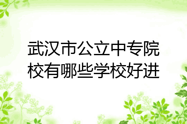 武汉市公立中专院校有哪些学校好进