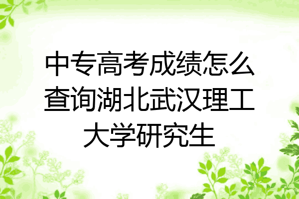 中专高考成绩怎么查询湖北武汉理工大学研究生