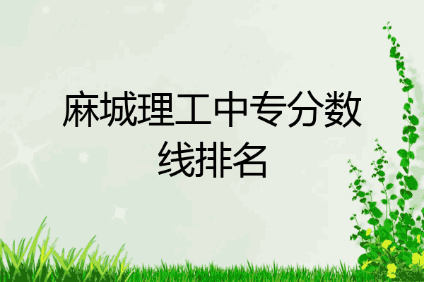 麻城理工中专分数线排名